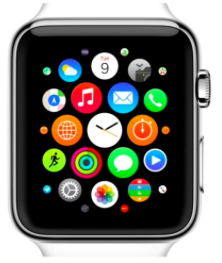 Apple Watch Development