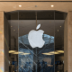 Apple Deloitte Partnership